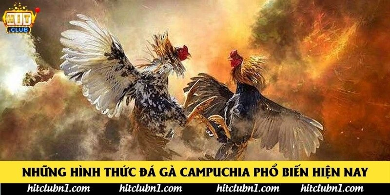Những Hình Thức Đá Gà Campuchia Phổ Biến Hiện Nay
