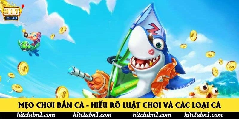 Mẹo Chơi Bắn Cá - Hiểu rõ luật chơi và các loại cá