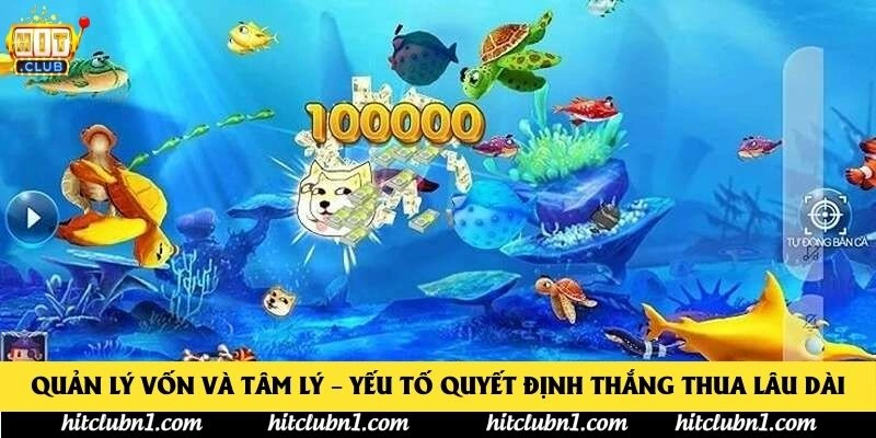 Quản lý vốn và tâm lý – yếu tố quyết định thắng thua lâu dài
